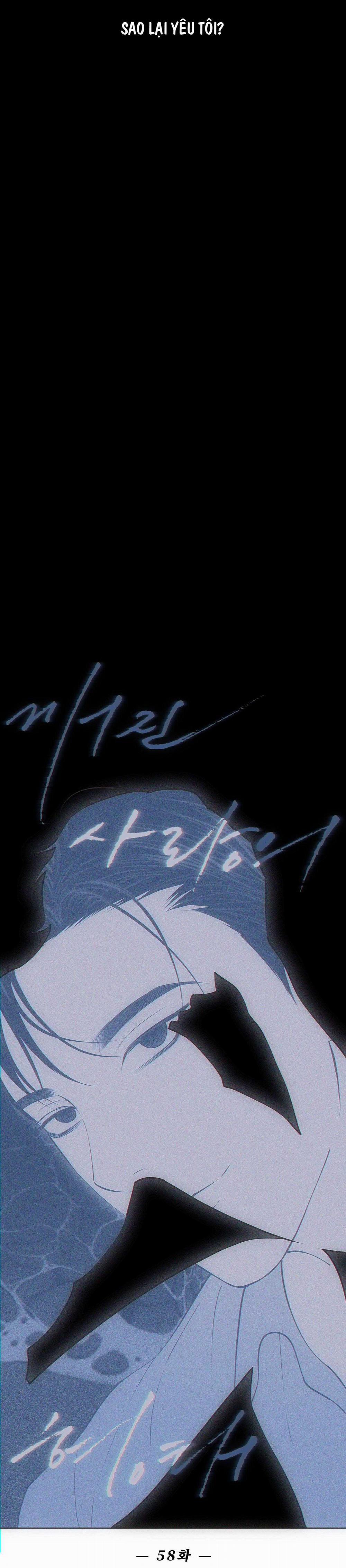 Hình Thái Tình Tan 58 trang 15