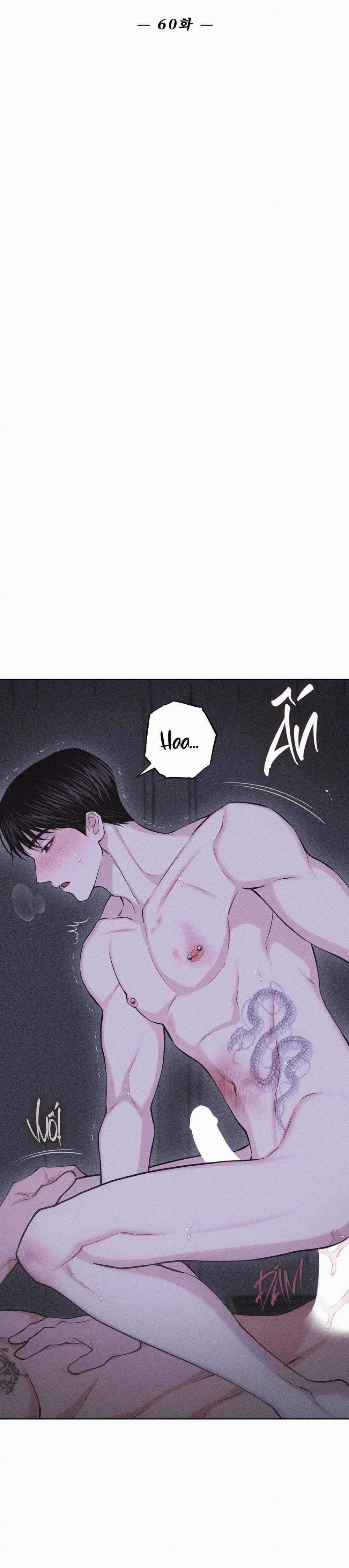 Hình Thái Tình Tan 60 trang 24