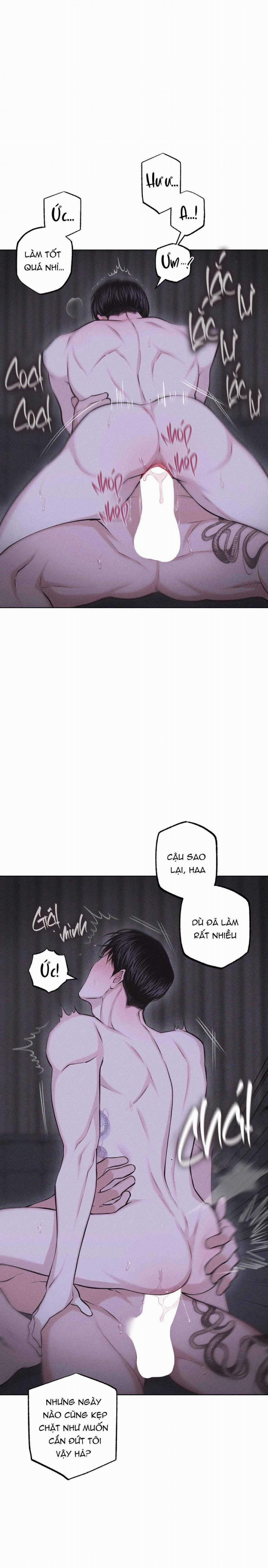 Hình Thái Tình Tan 60 trang 28