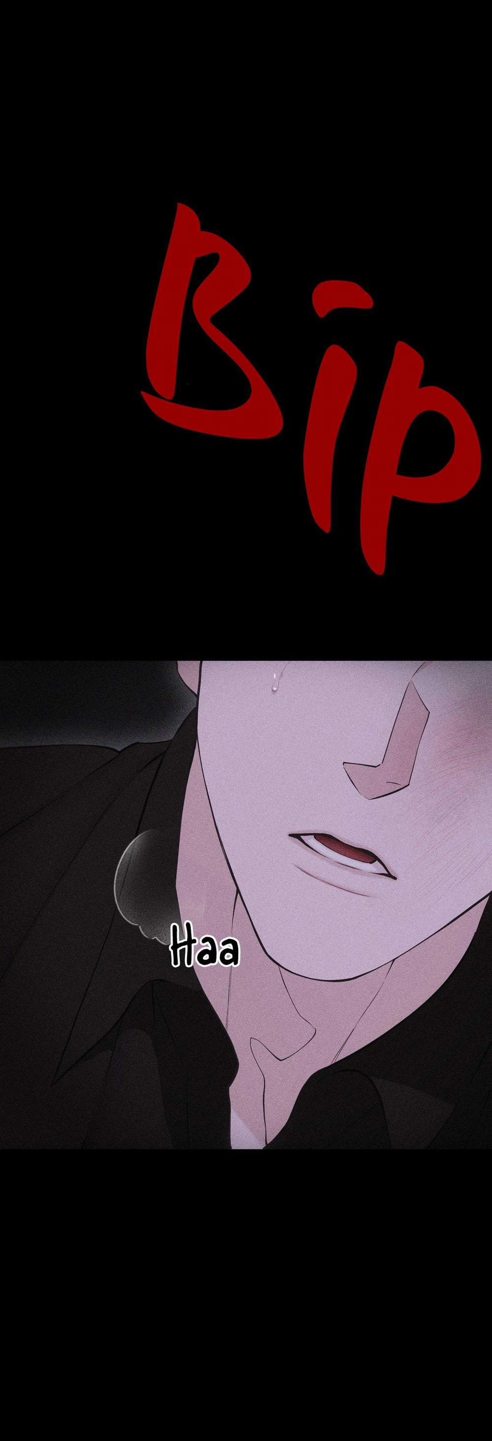 Hình Thái Tình Tan 65 trang 29