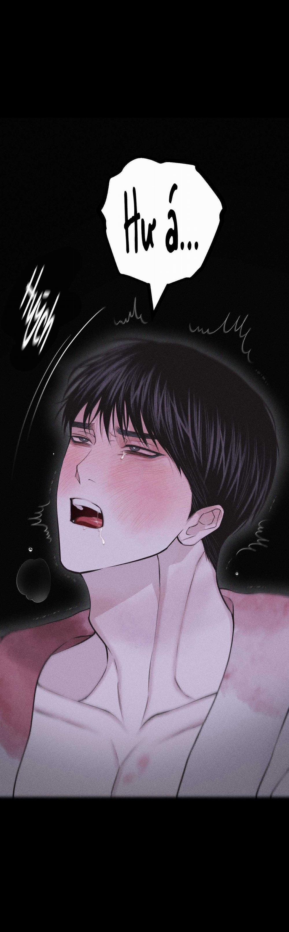 Hình Thái Tình Tan 65 trang 41