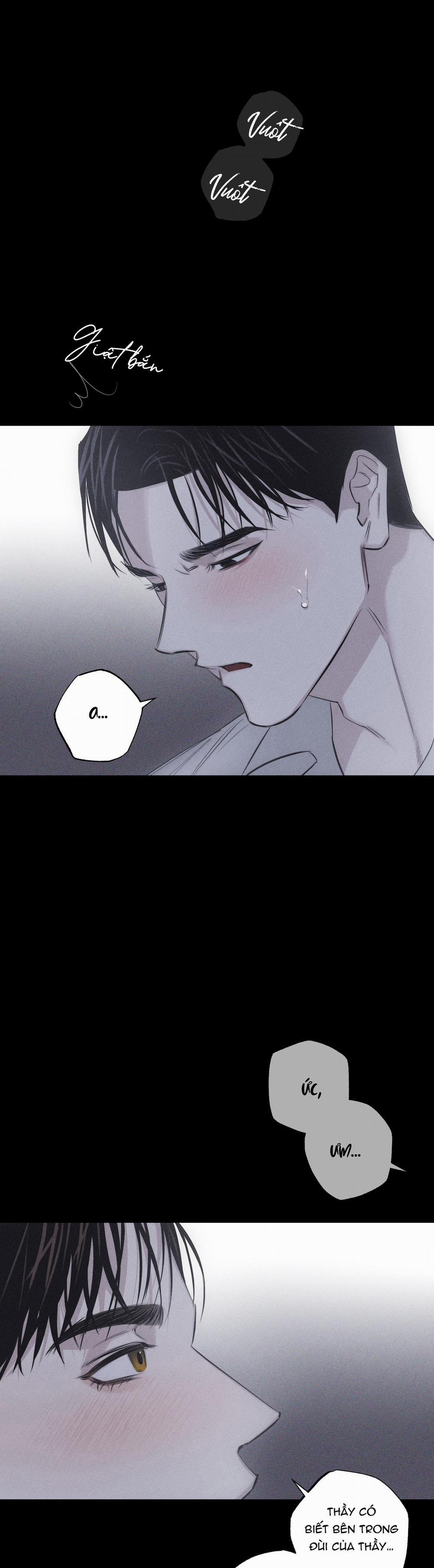 Hình Thái Tình Tan 8 h++ trang 23