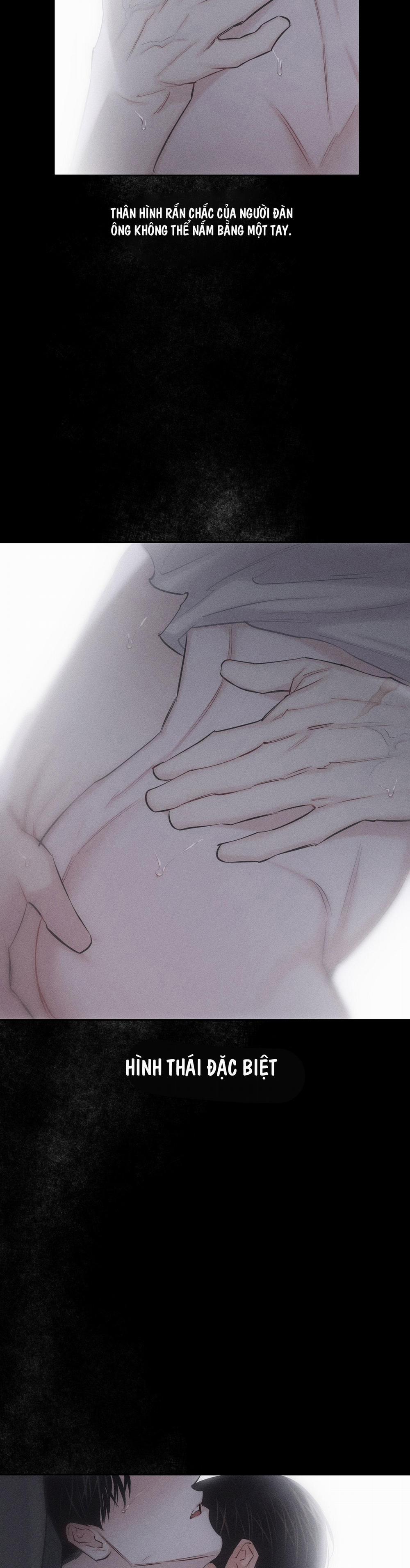 Hình Thái Tình Tan 8 h++ trang 38