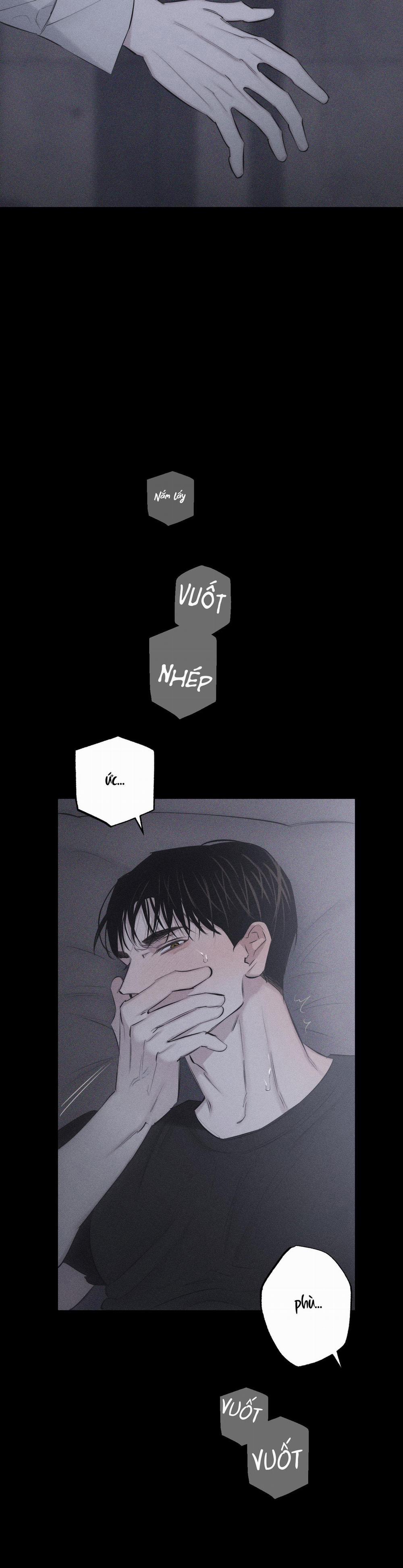 Hình Thái Tình Tan 8 h++ trang 4