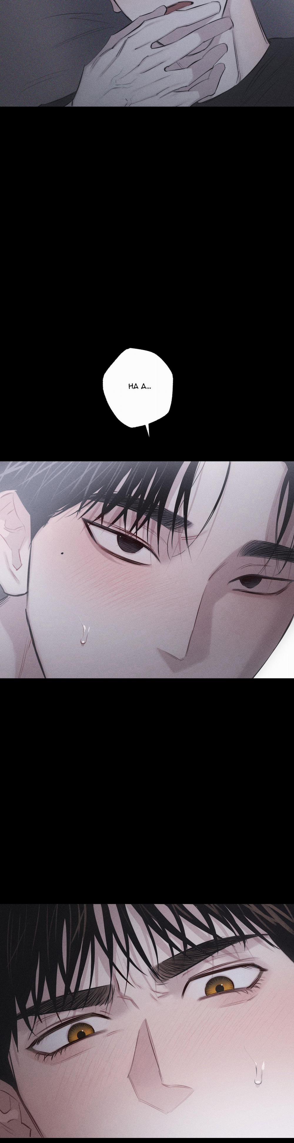 Hình Thái Tình Tan 8 h++ trang 6