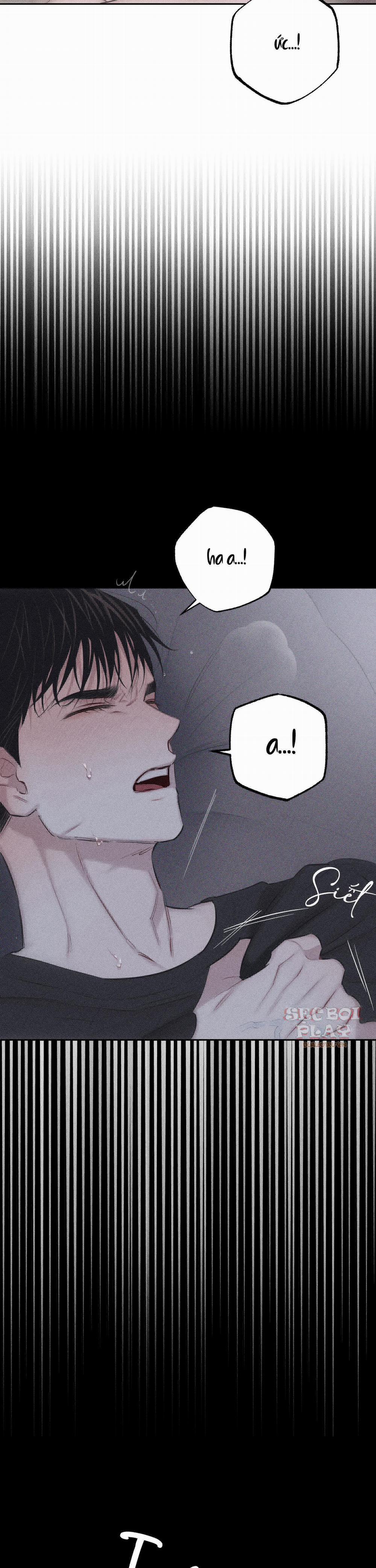 Hình Thái Tình Tan 8 trang 13