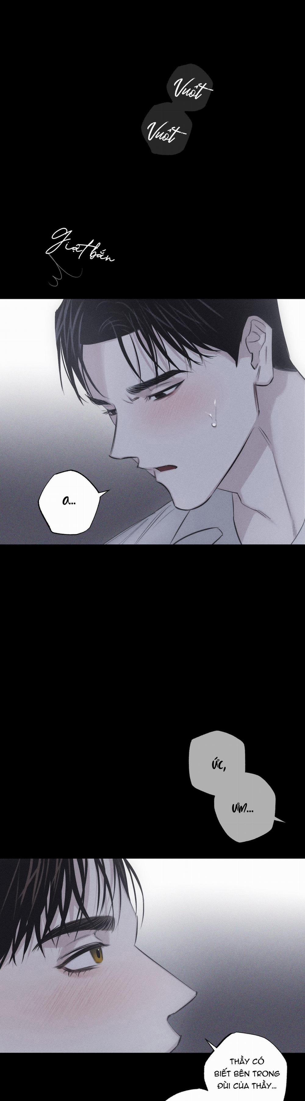 Hình Thái Tình Tan 8 trang 24