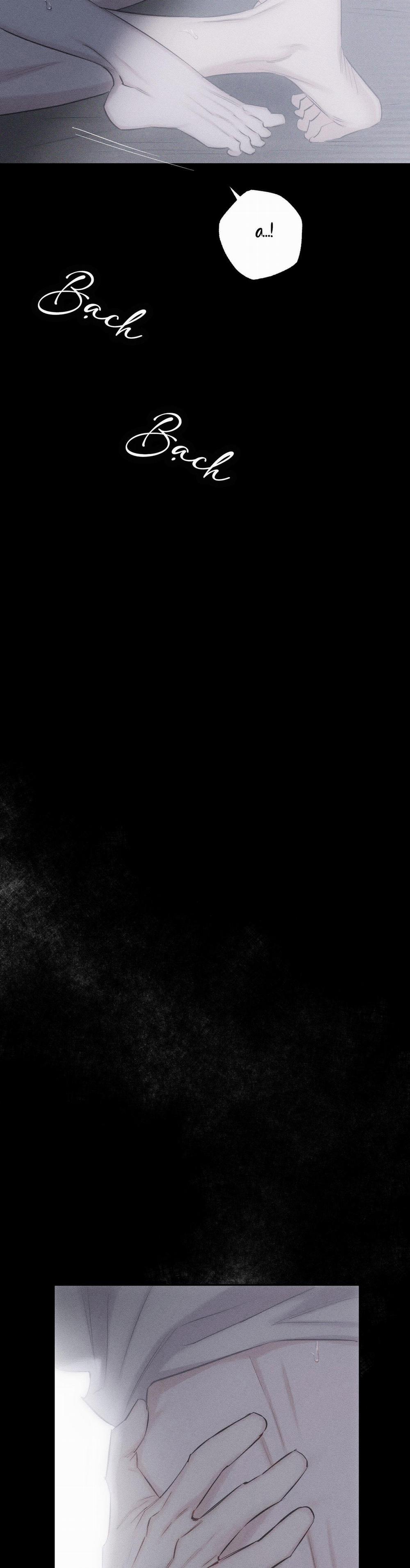 Hình Thái Tình Tan 8 trang 38