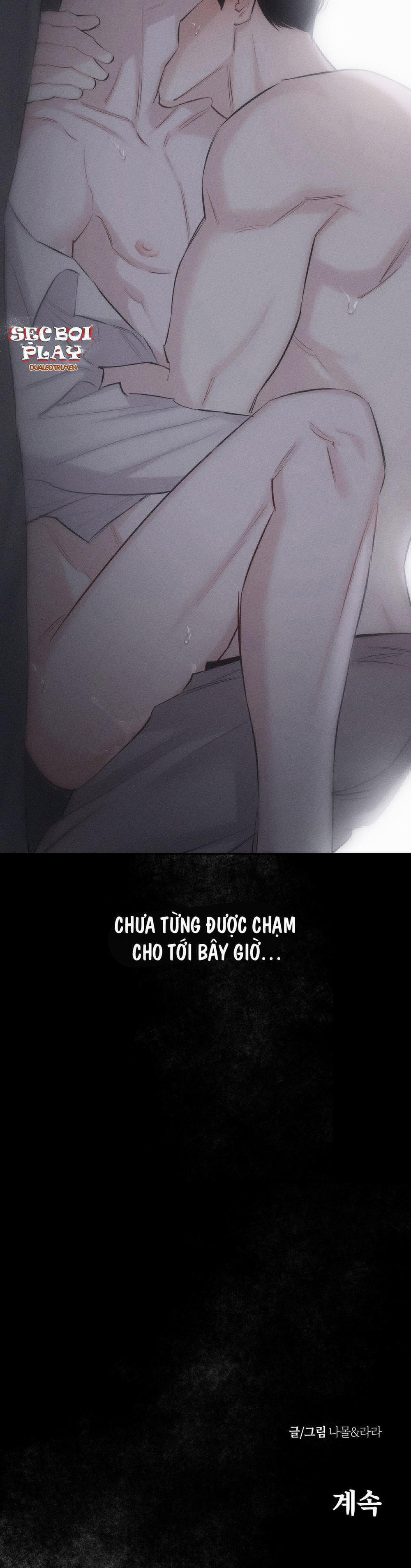 Hình Thái Tình Tan 8 trang 40