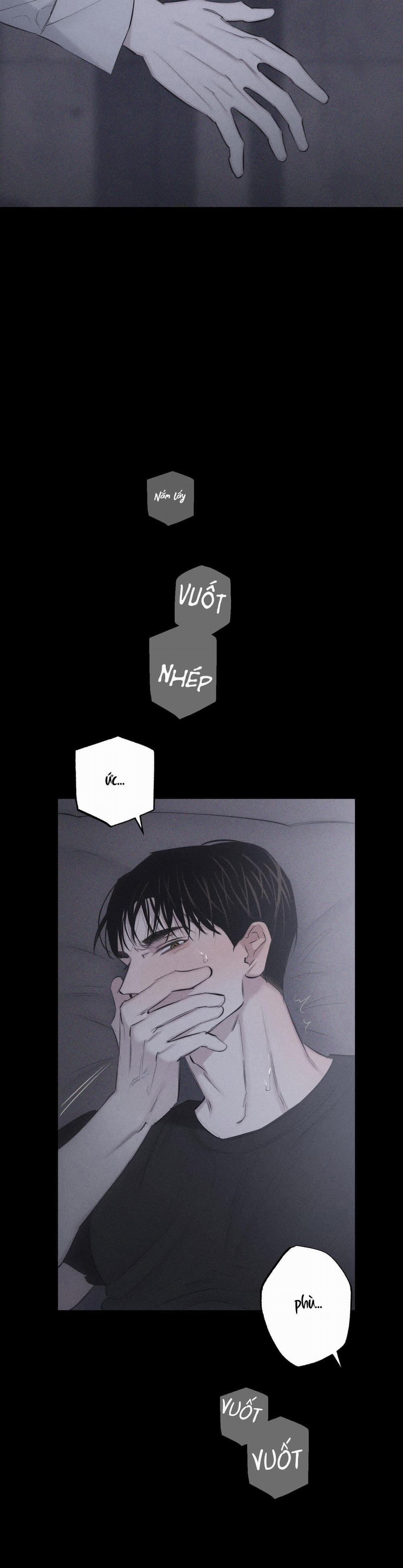 Hình Thái Tình Tan 8 trang 5