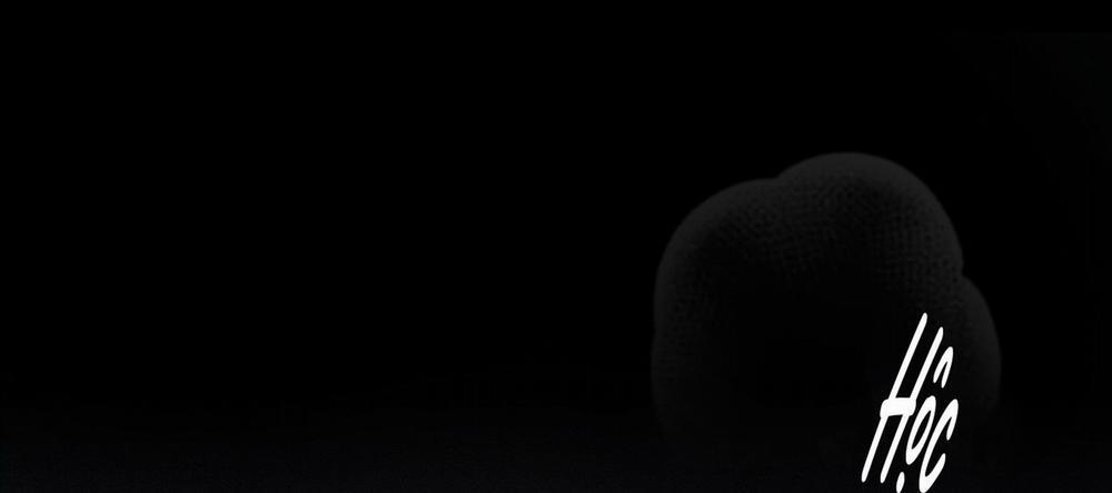 Hình Thái Tình Tan 9 H+ trang 110