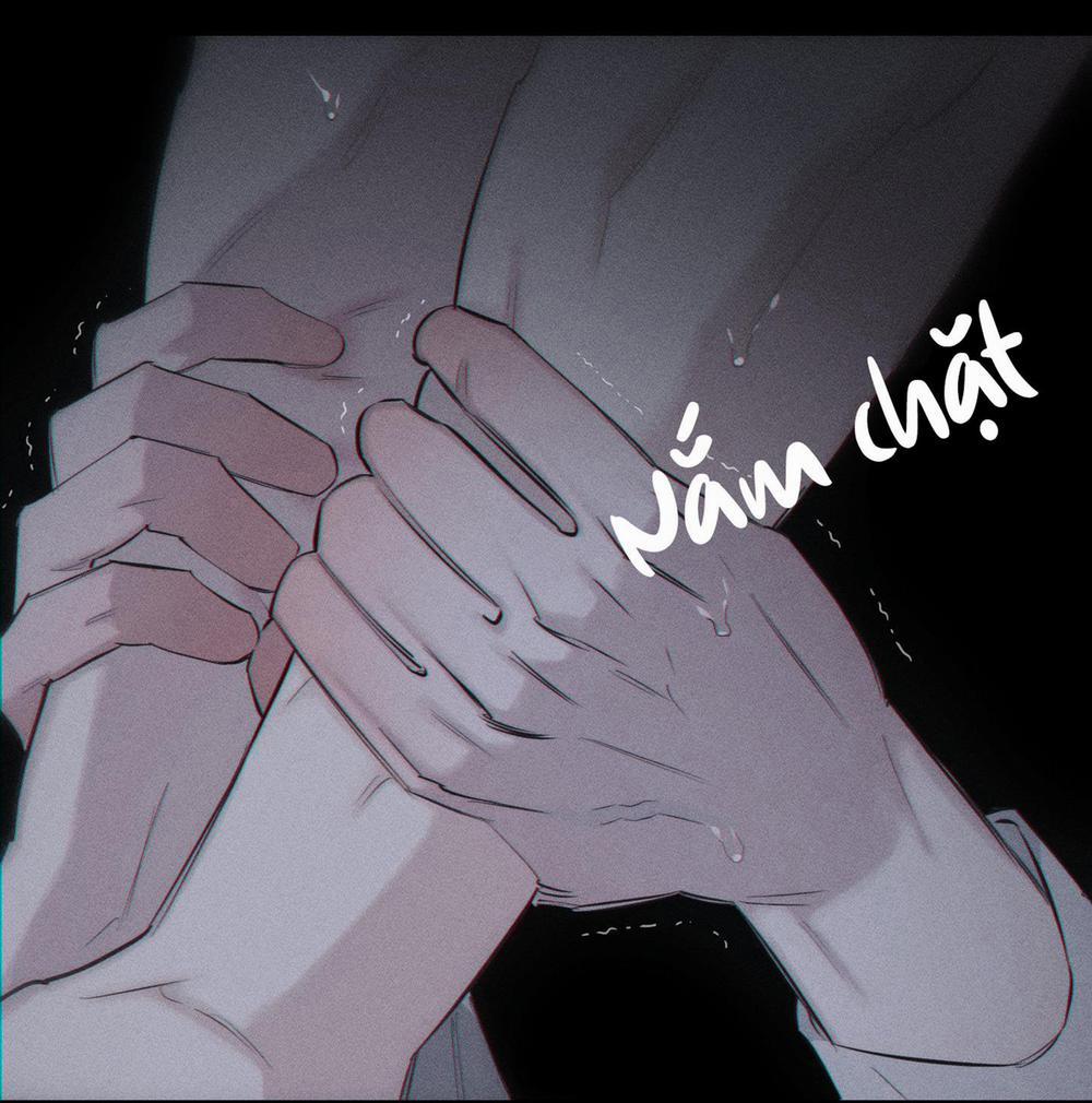 Hình Thái Tình Tan 9 H+ trang 81