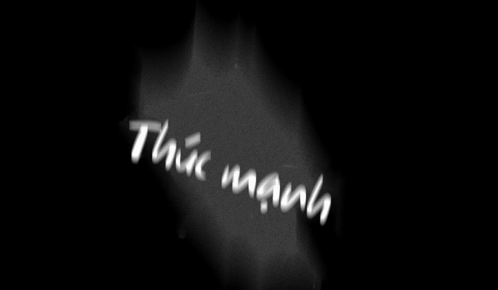 Hình Thái Tình Tan 9 trang 101