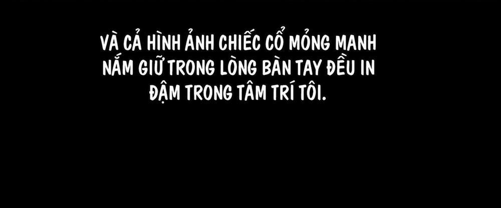 Hình Thái Tình Tan 9 trang 121