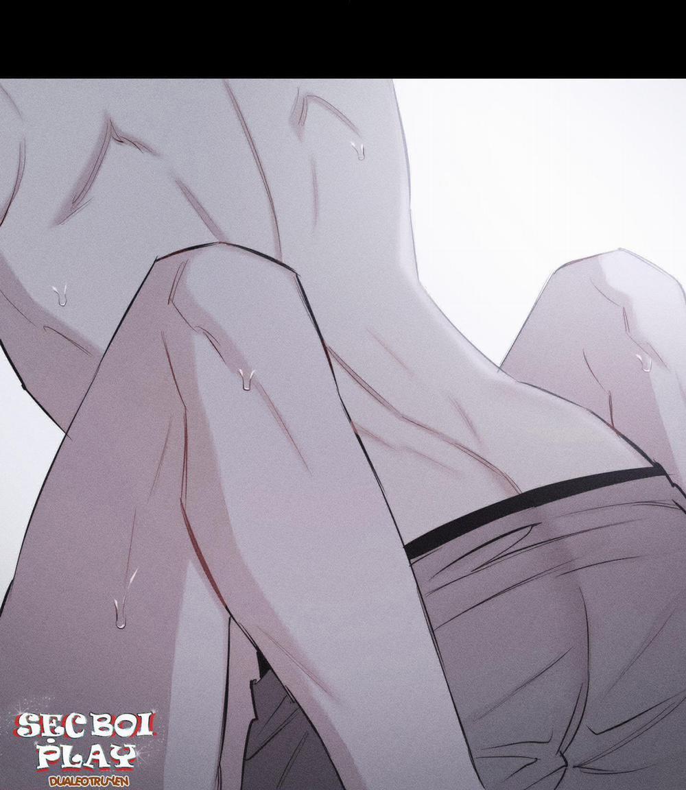 Hình Thái Tình Tan 9 trang 28