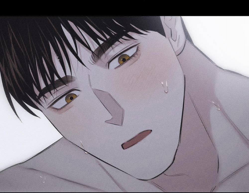 Hình Thái Tình Tan 9 trang 56