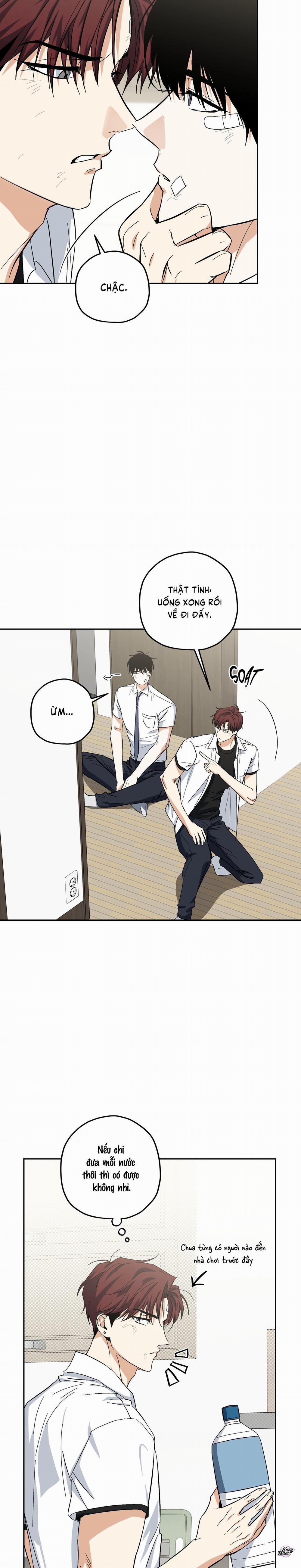 Hổ Đấu Hổ 8 trang 13