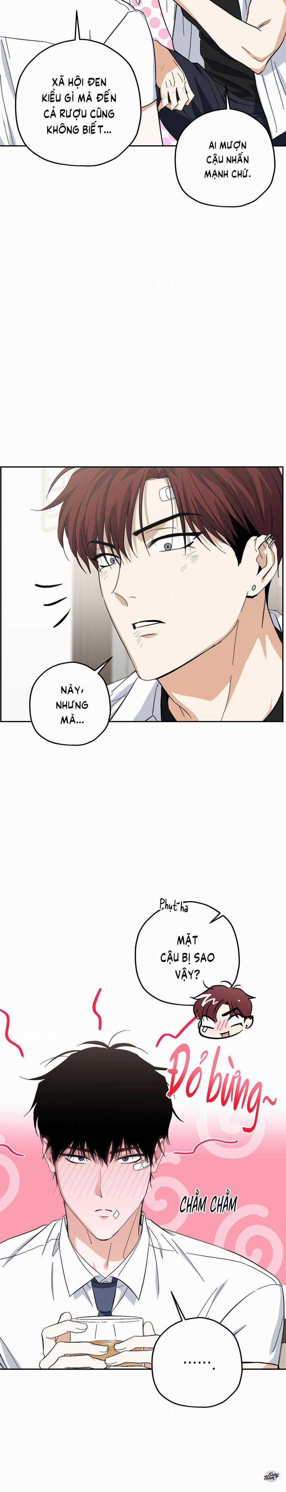 Hổ Đấu Hổ 8 trang 16