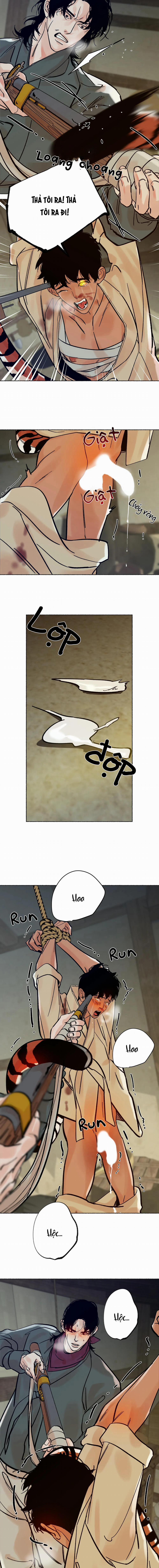 Hổ Ngàn Năm 10 trang 12