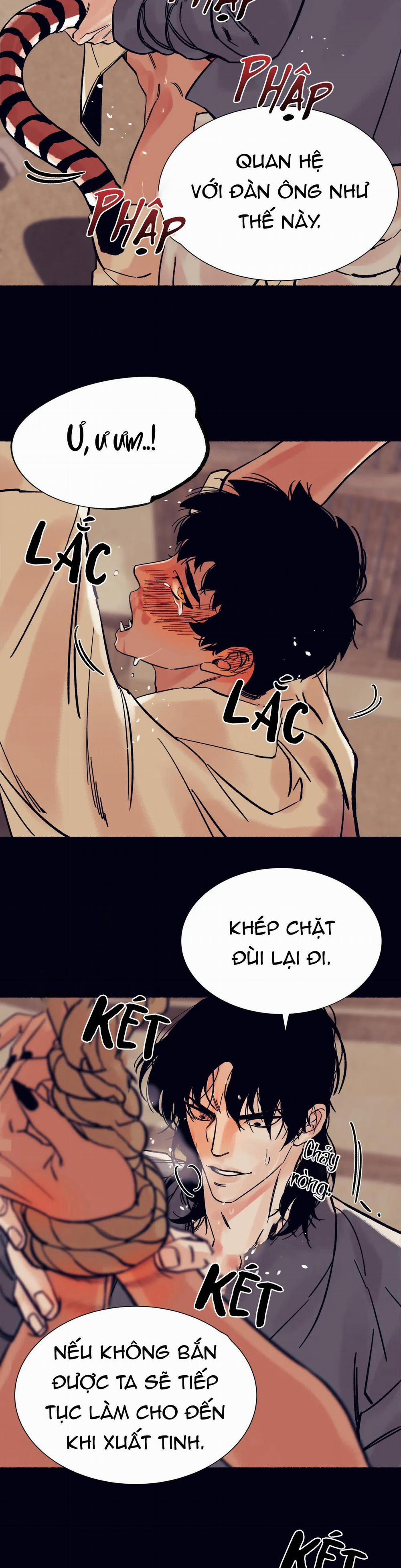 Hổ Ngàn Năm 11 trang 12