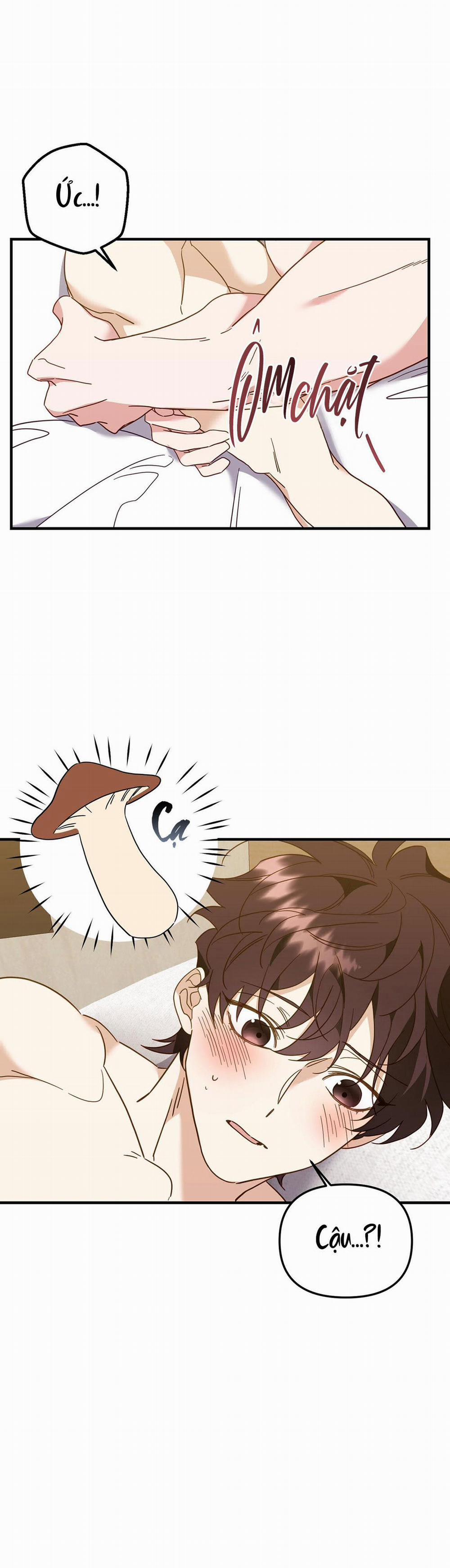 Hổ Trở Về 21 trang 10