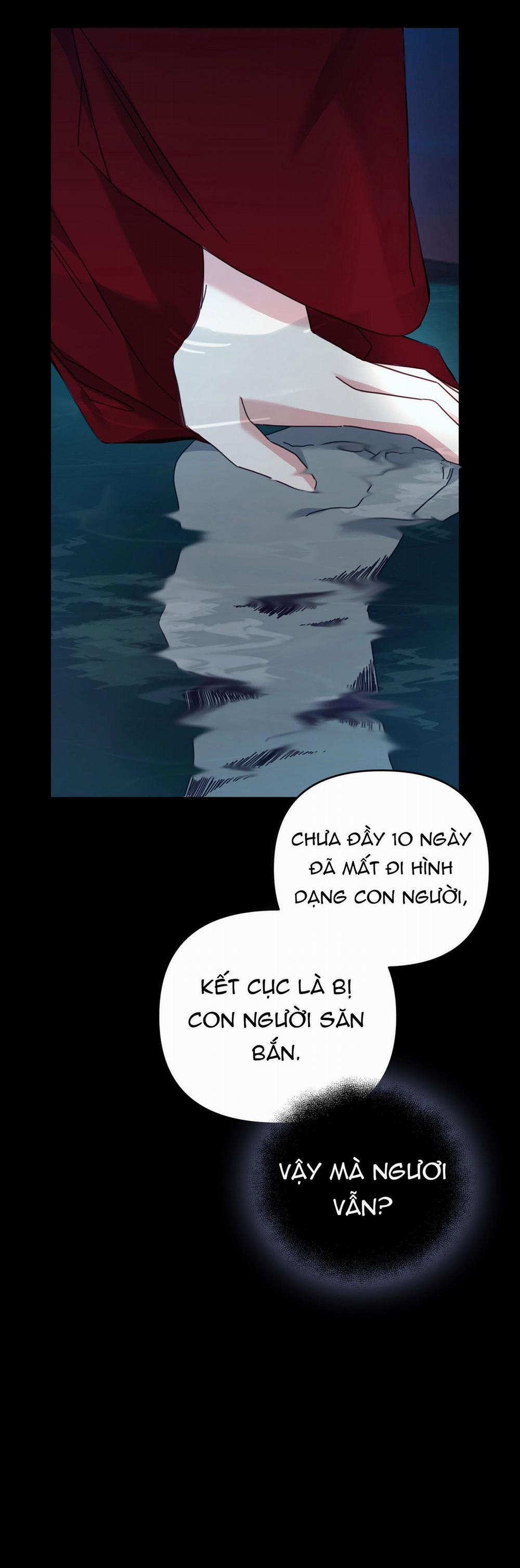 Hổ Trở Về 24 trang 39