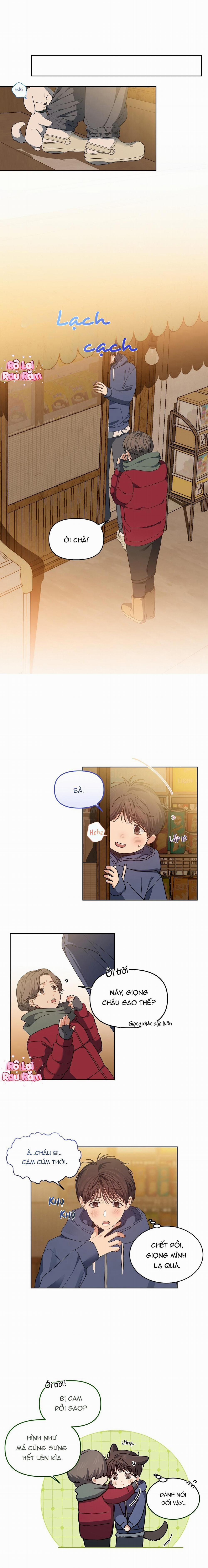 Hoa Anh Đ Ào    21 trang 12