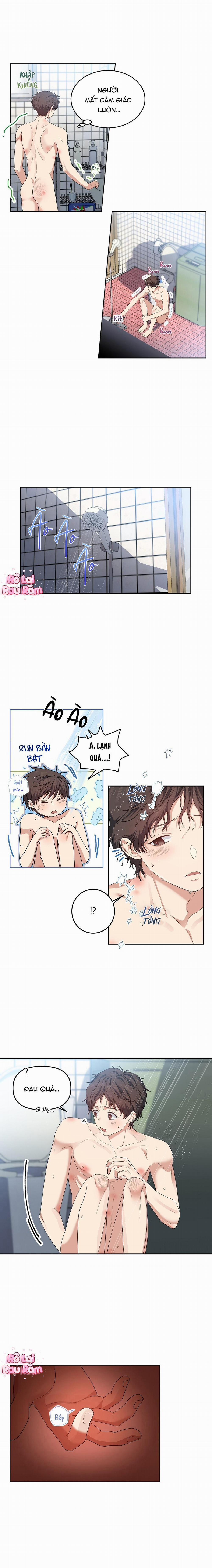 Hoa Anh Đ Ào    21 trang 5