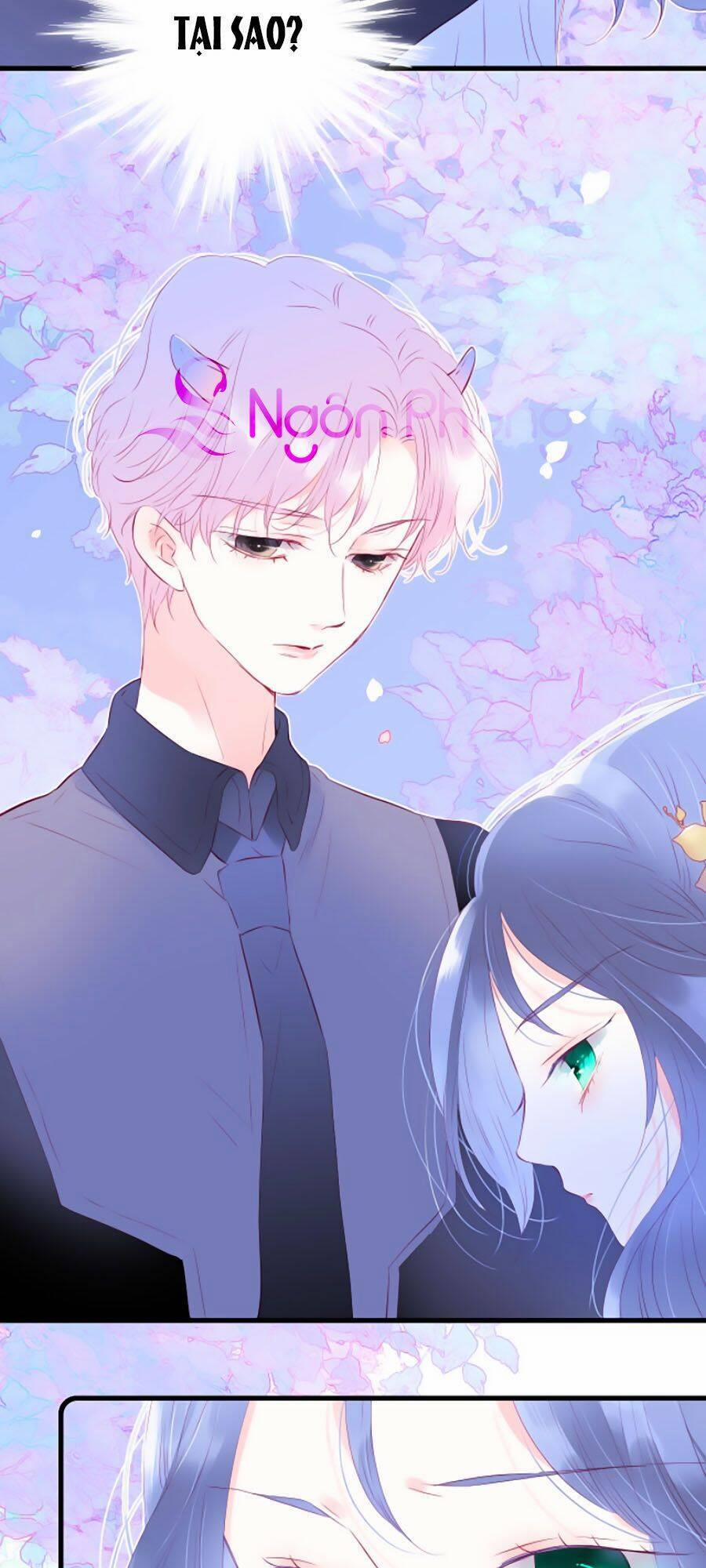 Hoa Bỏ Chạy Với Nhím Rồi 23 trang 2