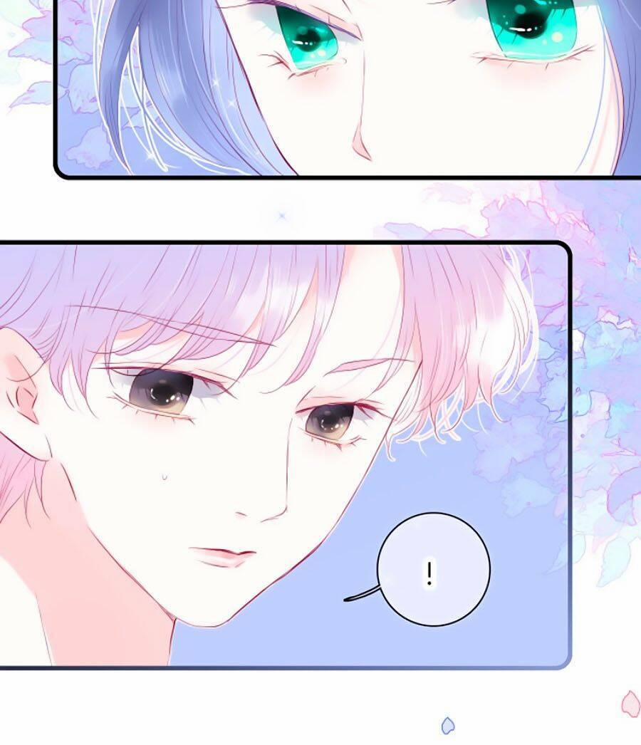 Hoa Bỏ Chạy Với Nhím Rồi 23 trang 3