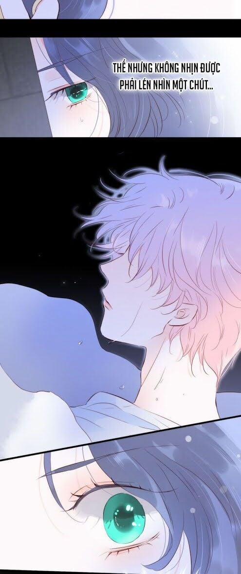 Hoa Bỏ Chạy Với Nhím Rồi 3 trang 38