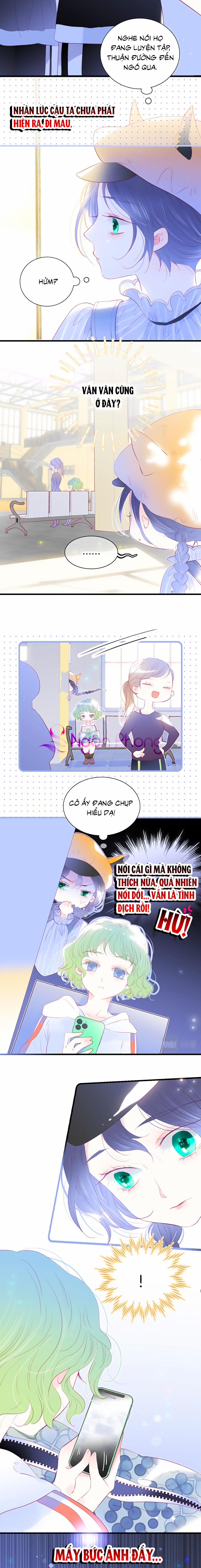 Hoa Bỏ Chạy Với Nhím Rồi 31 trang 8