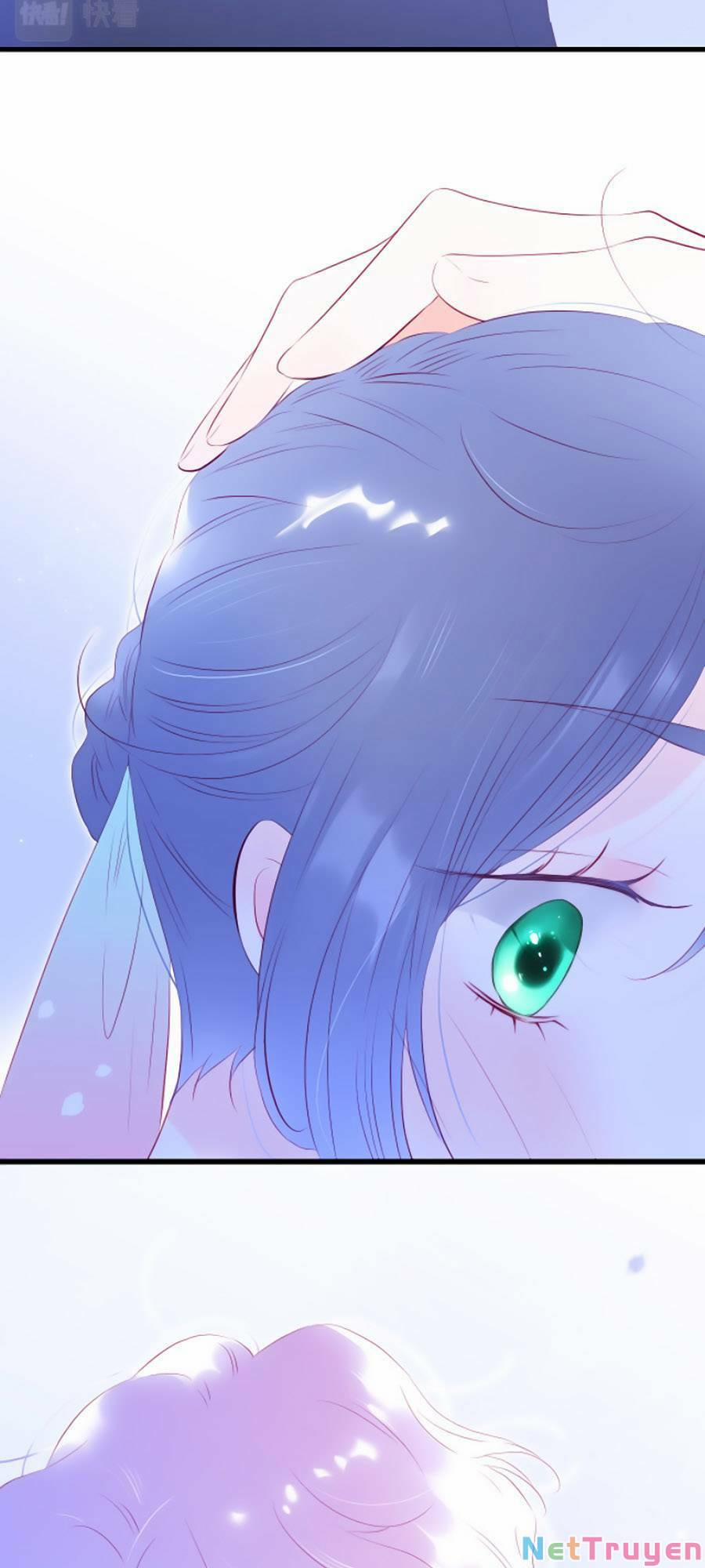 Hoa Bỏ Chạy Với Nhím Rồi 50 trang 28