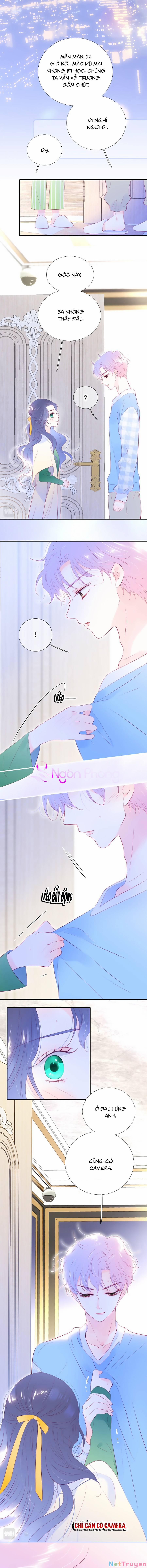 Hoa Bỏ Chạy Với Nhím Rồi 54 trang 6