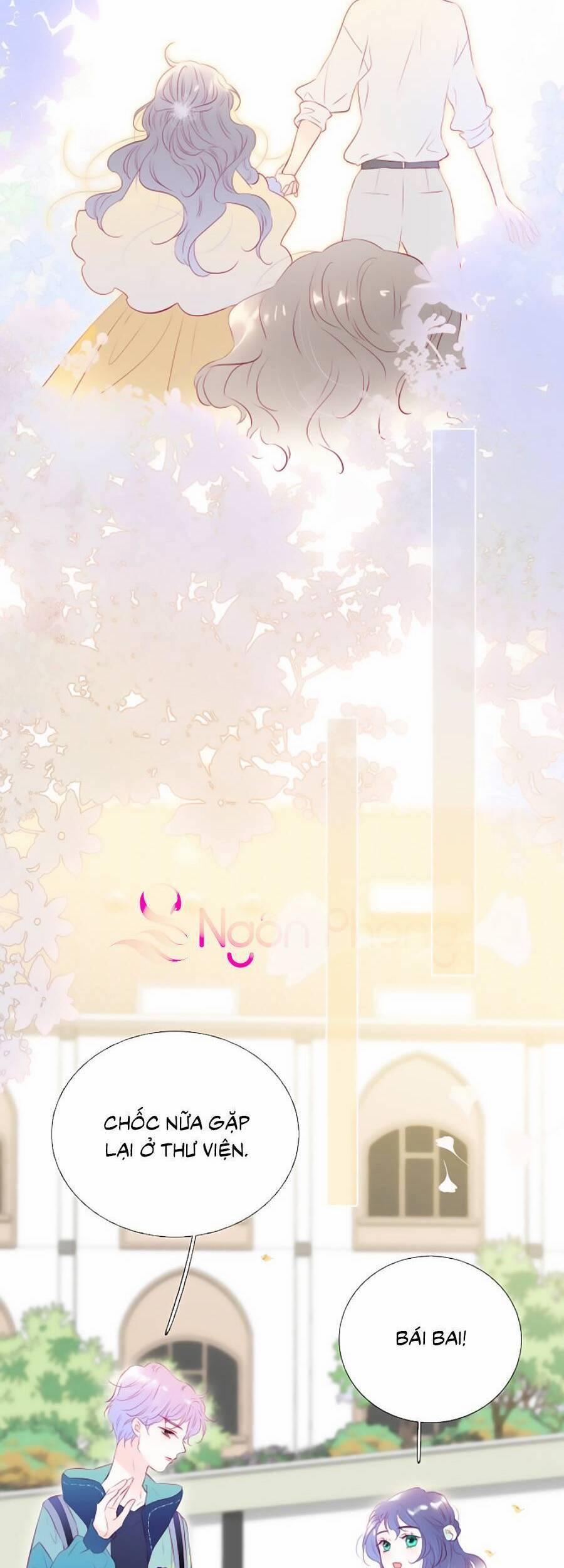 Hoa Bỏ Chạy Với Nhím Rồi 55 trang 24