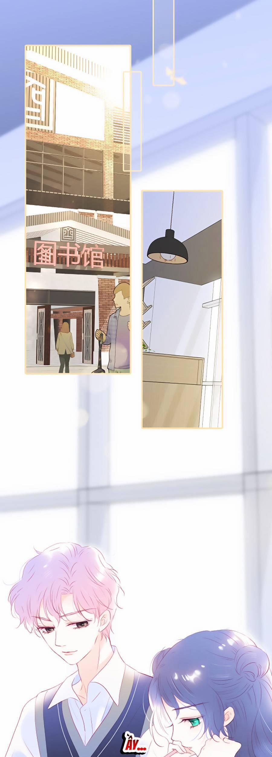 Hoa Bỏ Chạy Với Nhím Rồi 56 trang 14