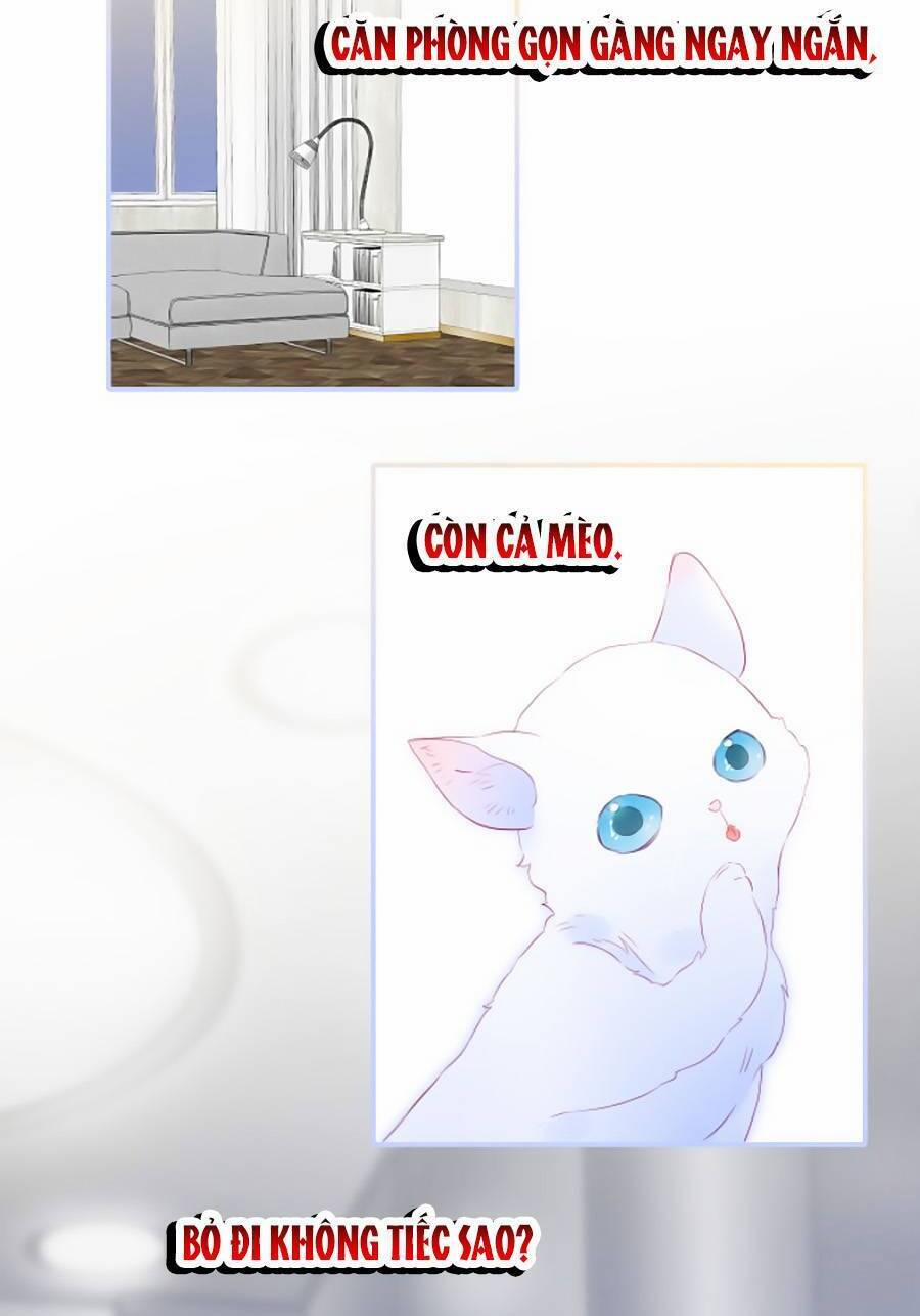 Hoa Bỏ Chạy Với Nhím Rồi 58 trang 6