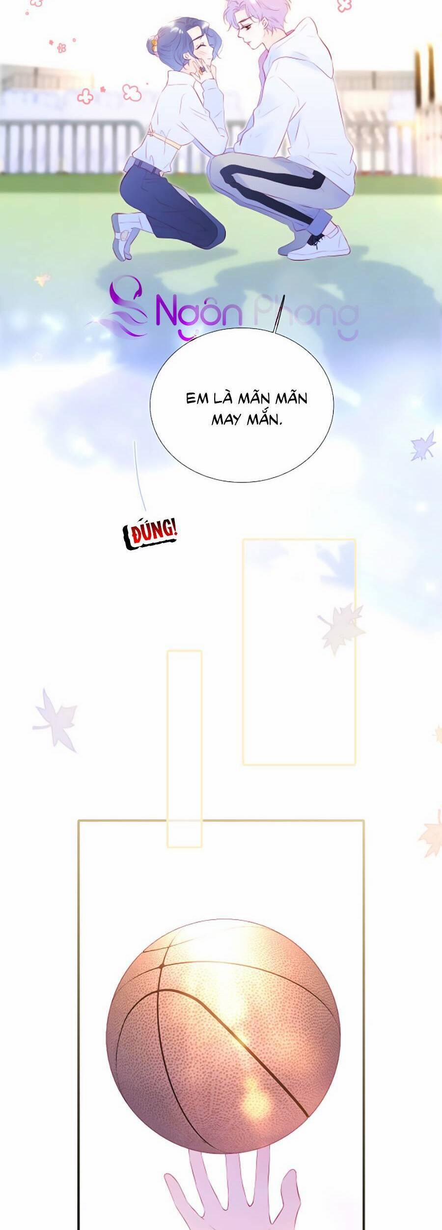 Hoa Bỏ Chạy Với Nhím Rồi 64 trang 6