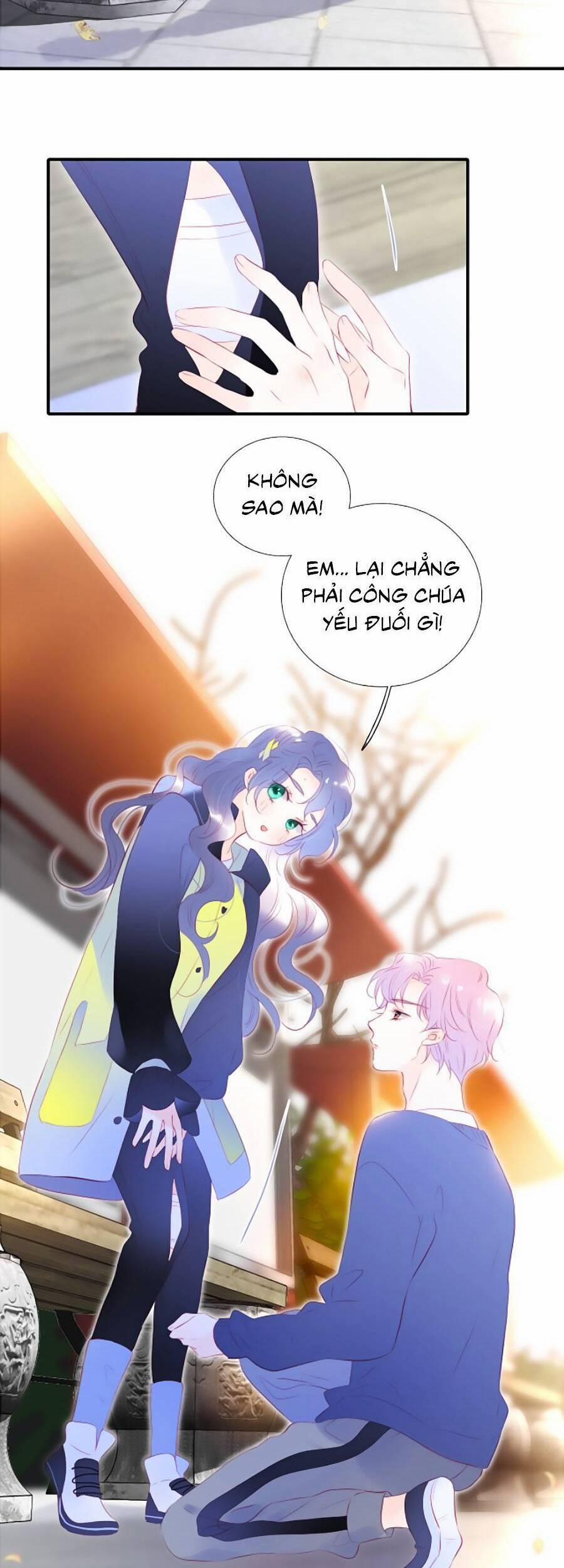 Hoa Bỏ Chạy Với Nhím Rồi 68 trang 29