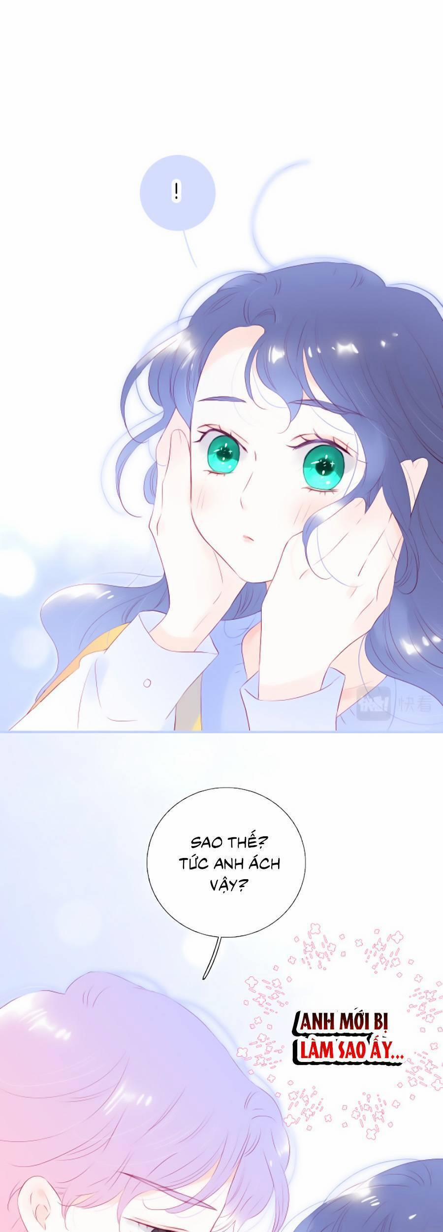 Hoa Bỏ Chạy Với Nhím Rồi 70 trang 1