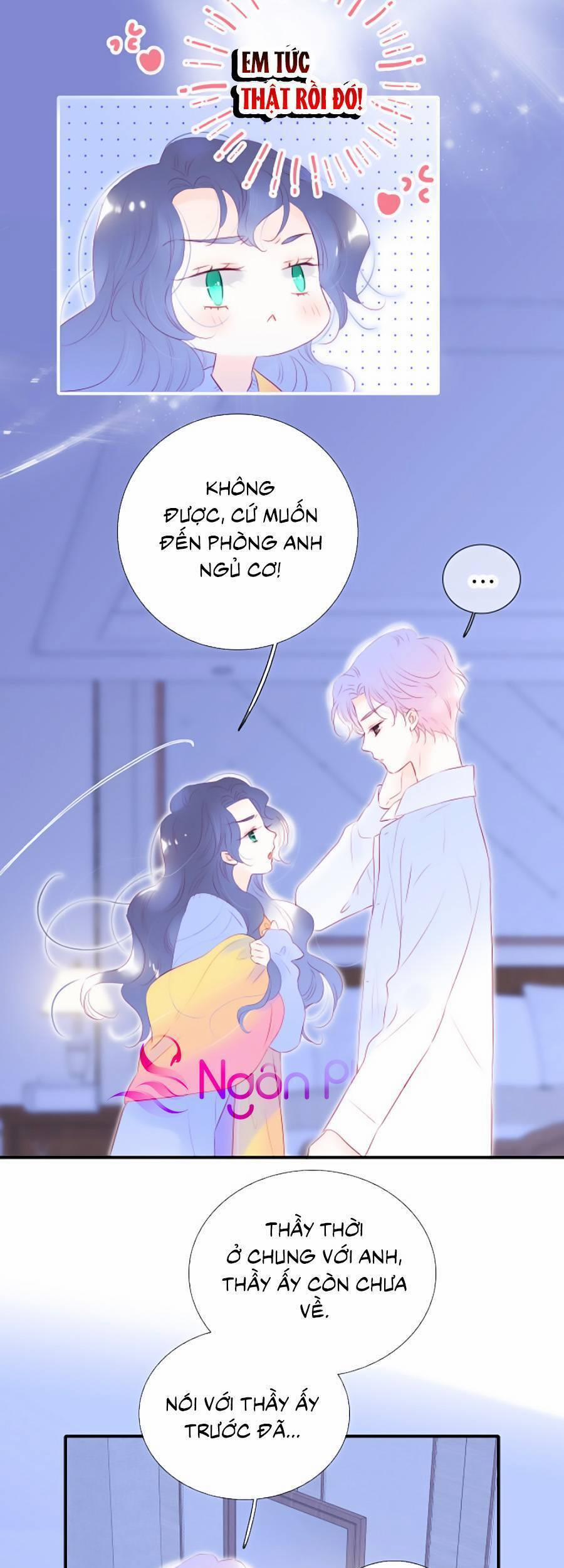 Hoa Bỏ Chạy Với Nhím Rồi 70 trang 4