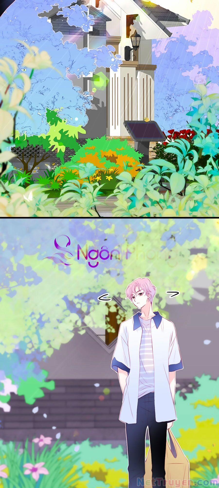 Hoa Bỏ Chạy Với Nhím Rồi 8 trang 14