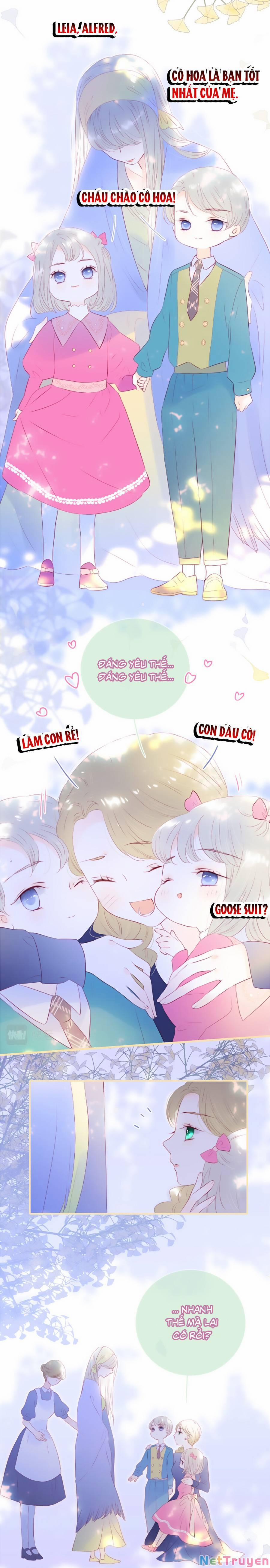 Hoa Bỏ Chạy Với Nhím Rồi 81.5 trang 3