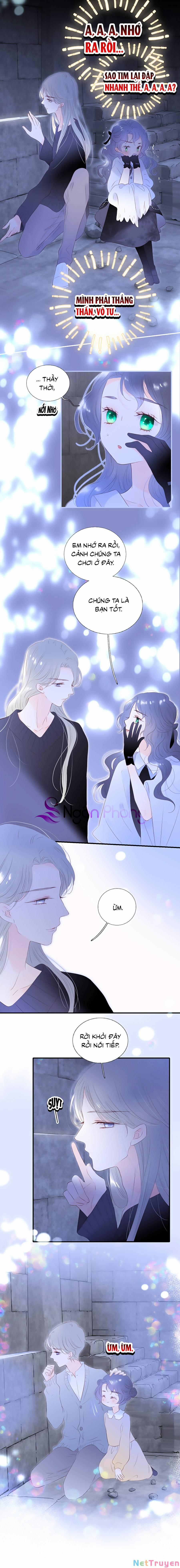 Hoa Bỏ Chạy Với Nhím Rồi 82 trang 4