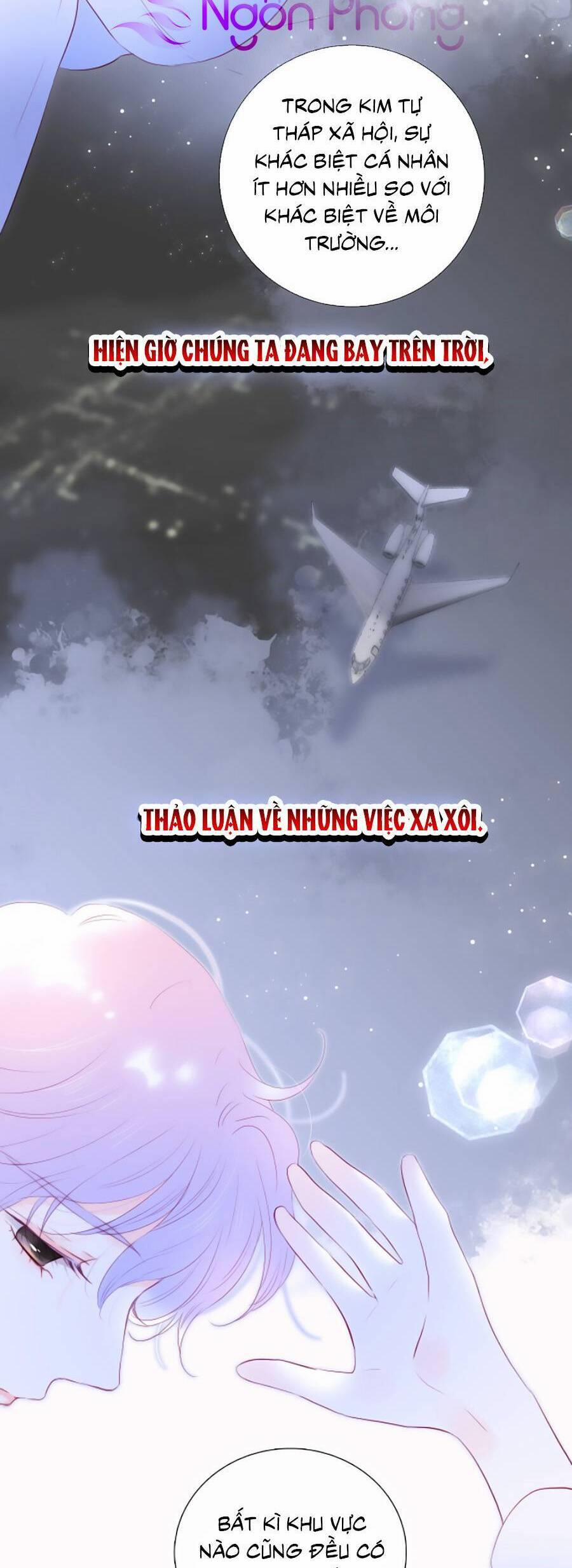 Hoa Bỏ Chạy Với Nhím Rồi 85 trang 19