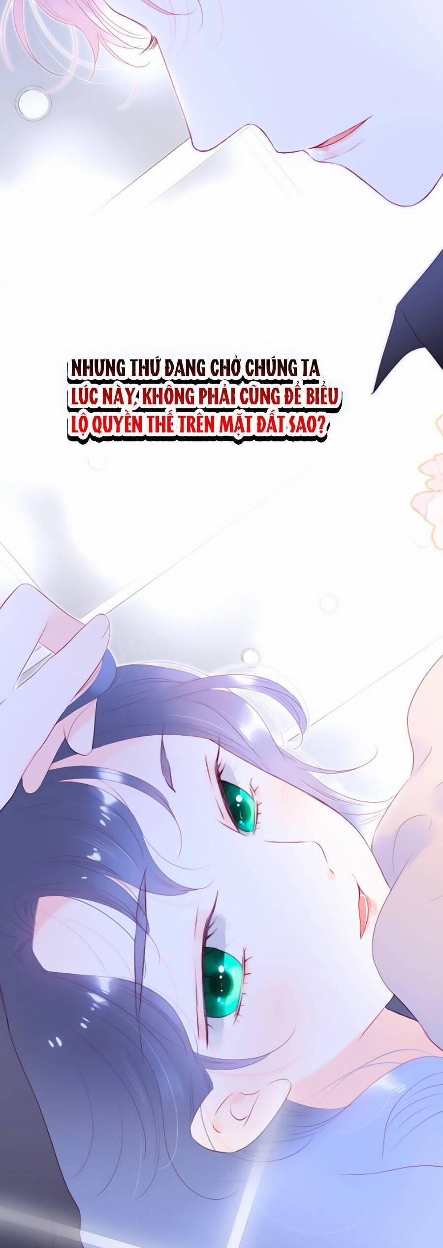 Hoa Bỏ Chạy Với Nhím Rồi 85 trang 23