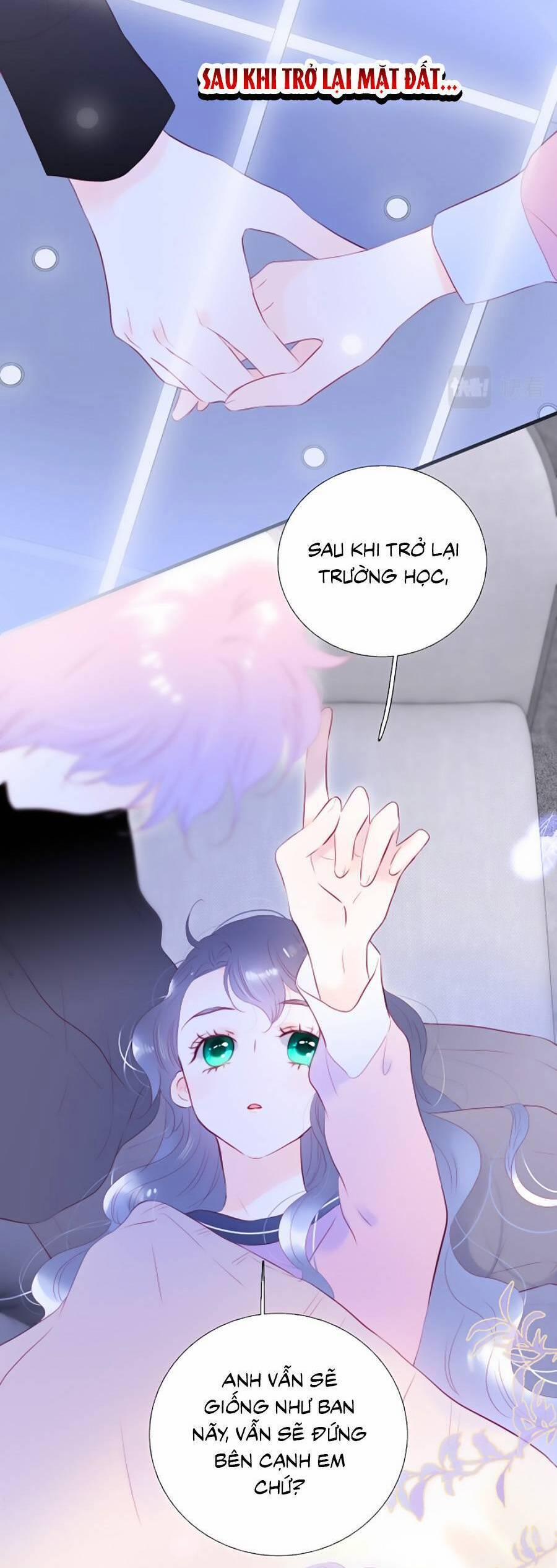 Hoa Bỏ Chạy Với Nhím Rồi 85 trang 24