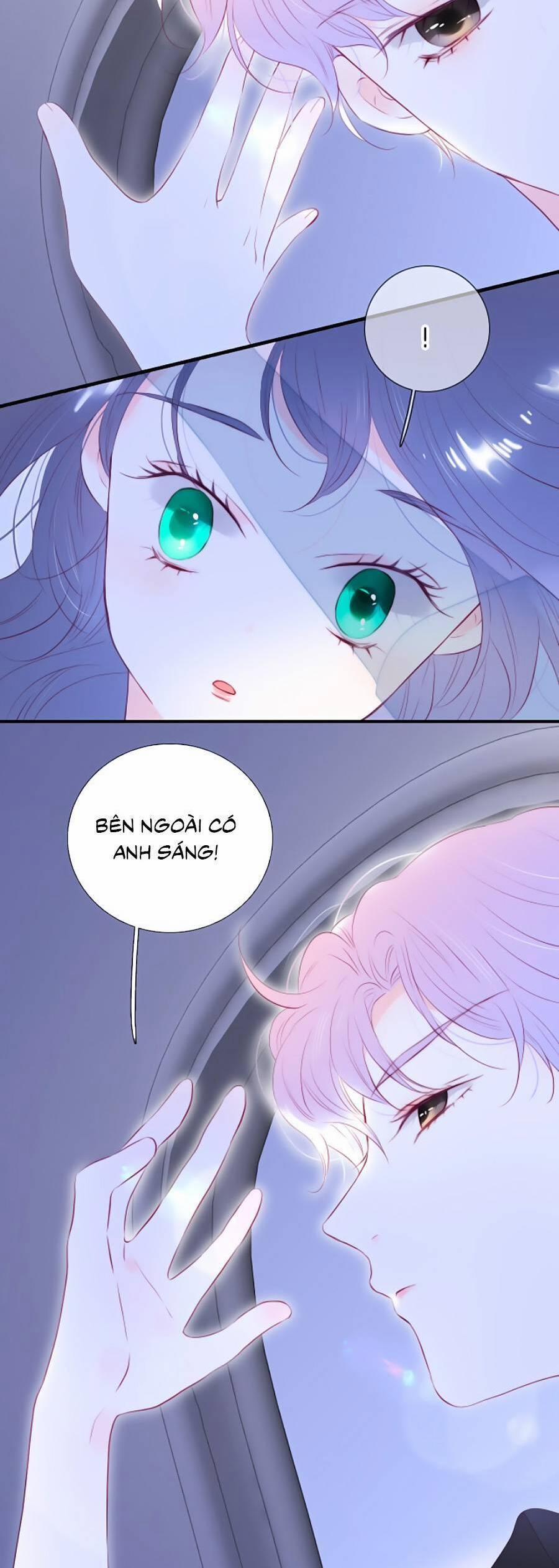 Hoa Bỏ Chạy Với Nhím Rồi 85 trang 28