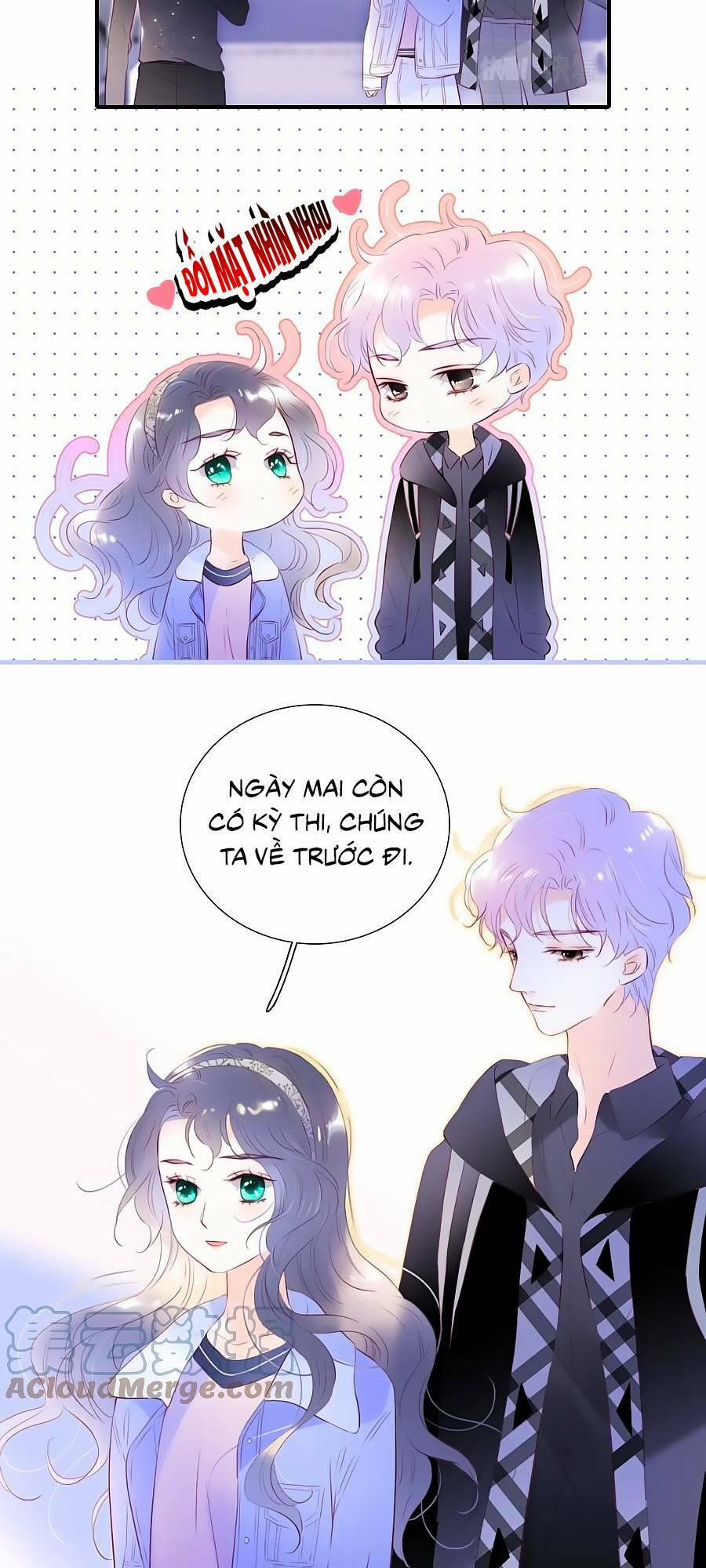 Hoa Bỏ Chạy Với Nhím Rồi 86 trang 10