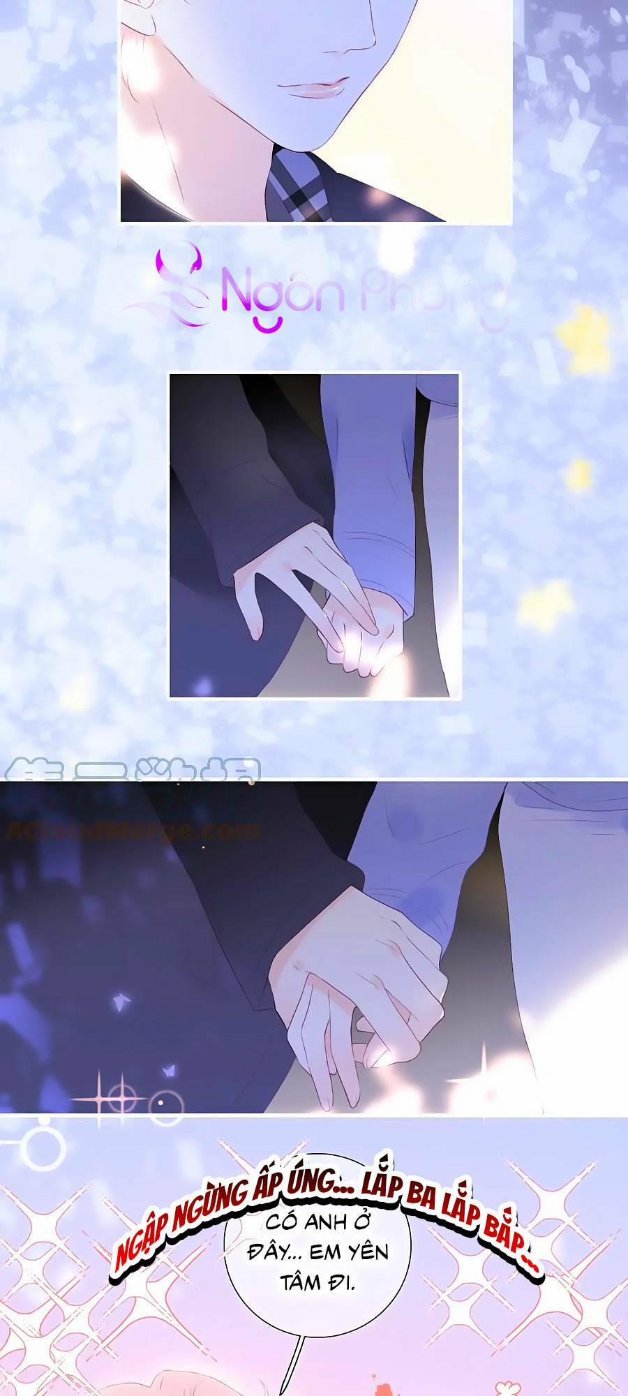 Hoa Bỏ Chạy Với Nhím Rồi 86 trang 15